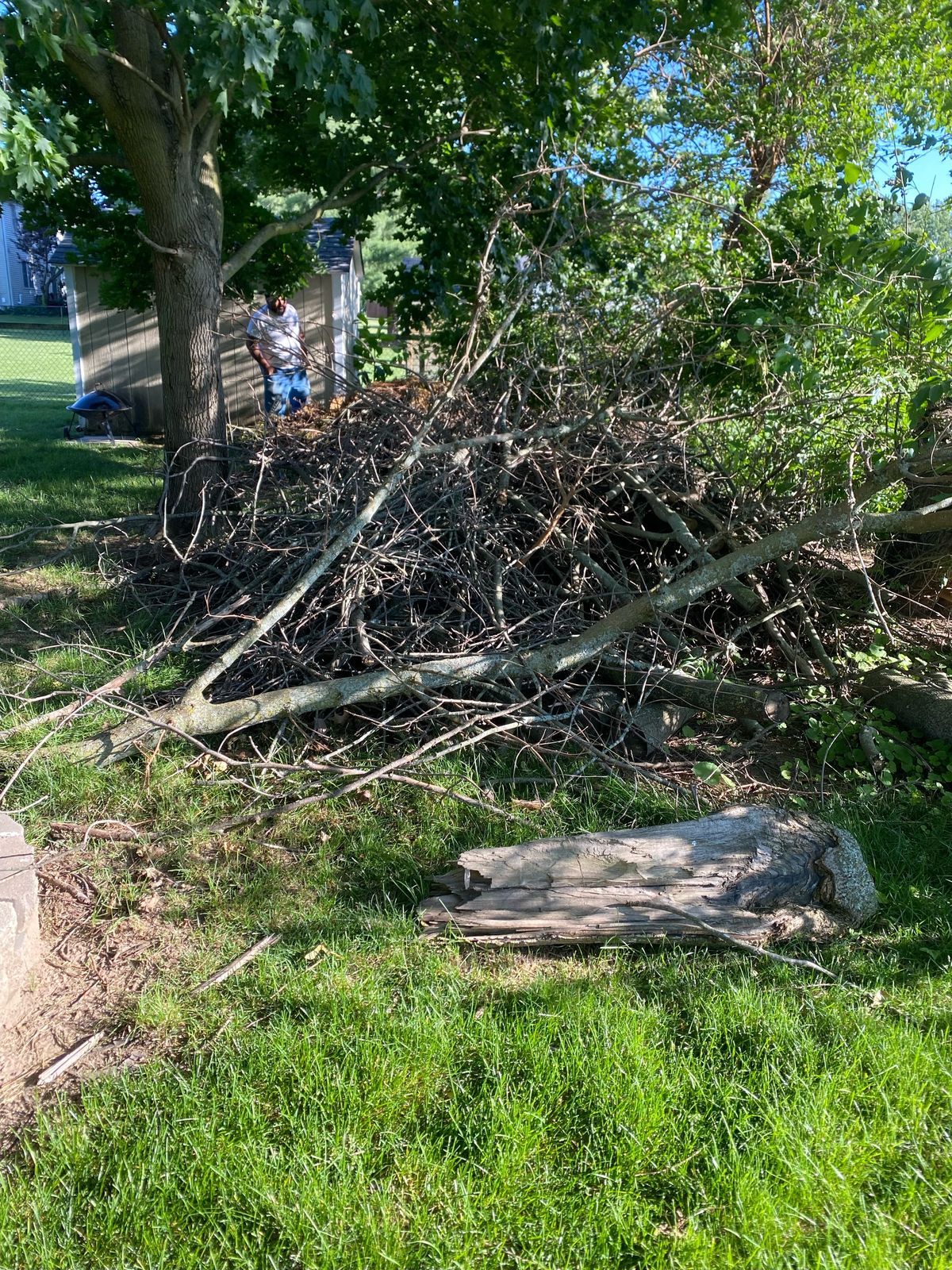 Yard debris cleanup job