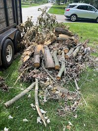 Yard waste removal job